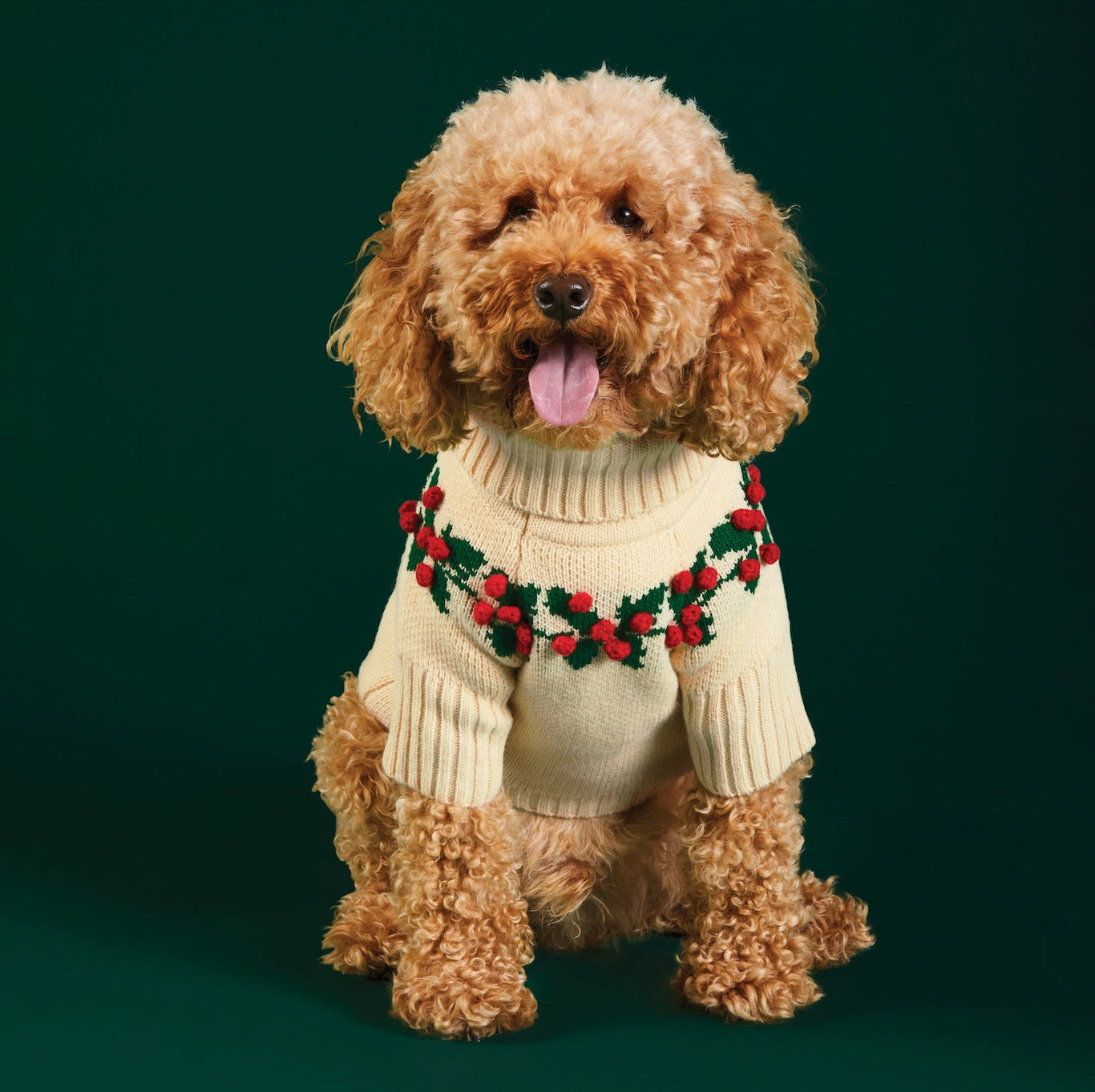 The Foggy Dog Holly Bobble Holiday Dog Sweater