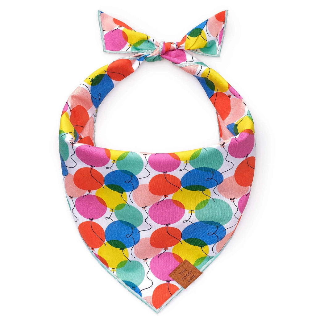 The Foggy Dog Pup, Pup and Away Birthday Dog Bandana