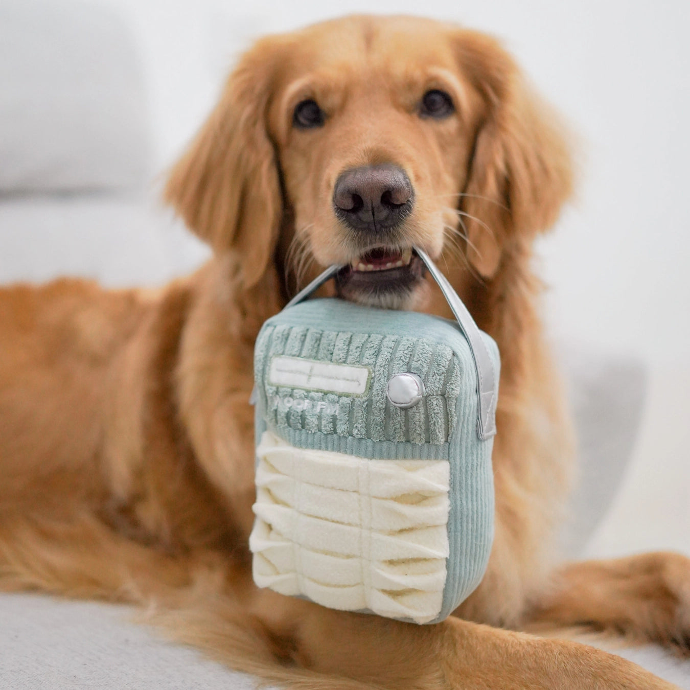 Lambwolf Collective - Woof Fm Enrichment Dog Toy