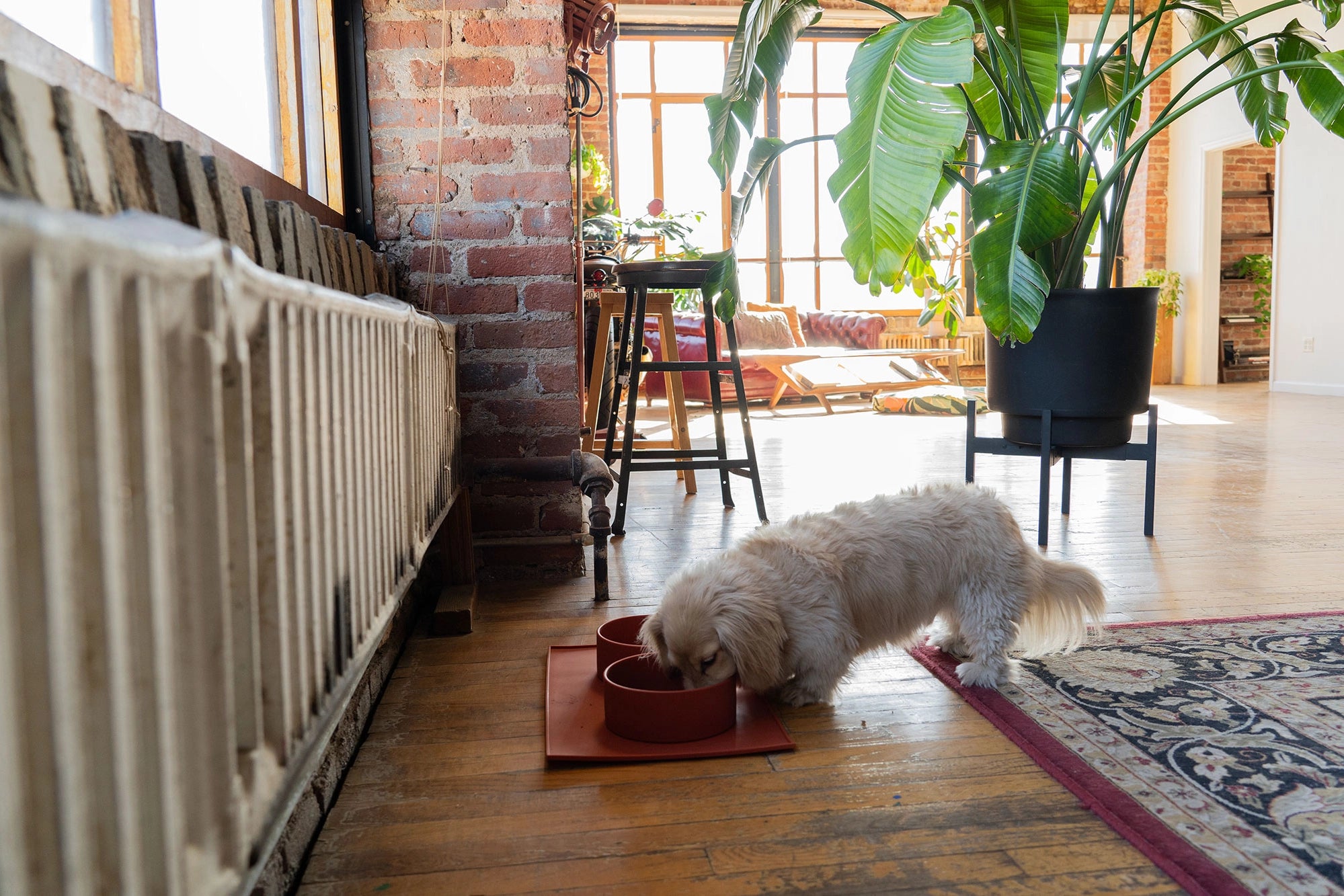 ADC Houndstone Silicone Pet Food Mat