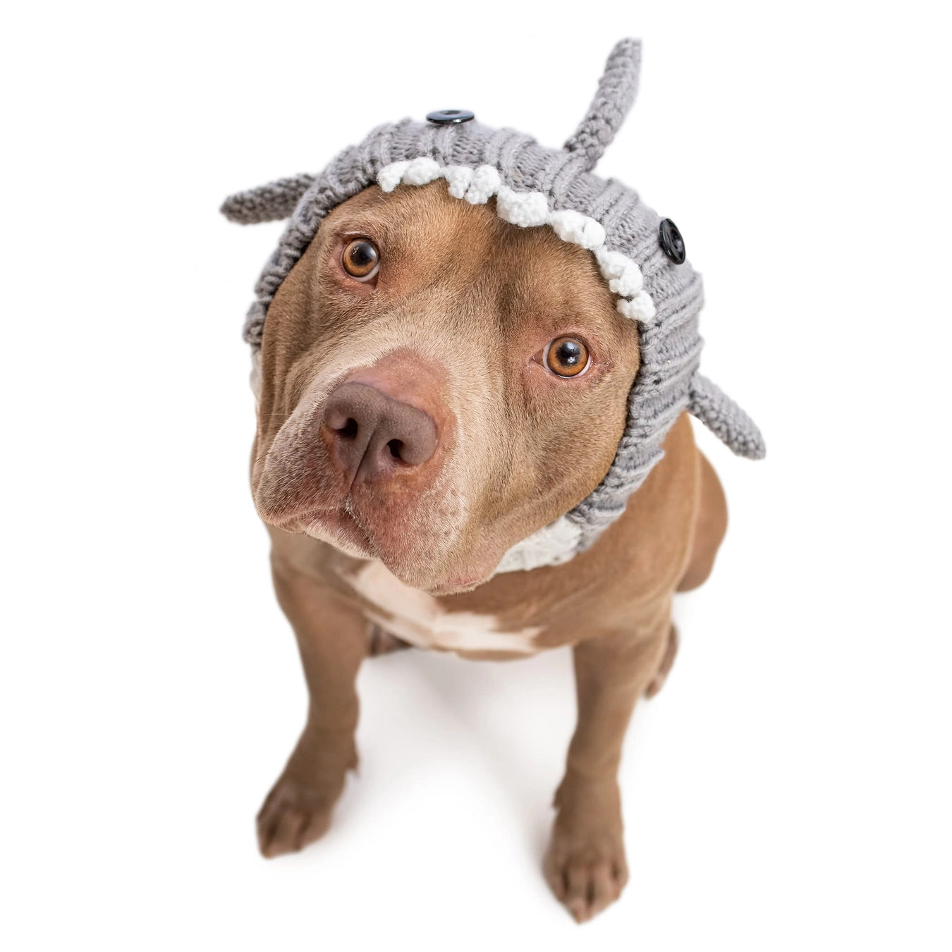Great White Shark Snood