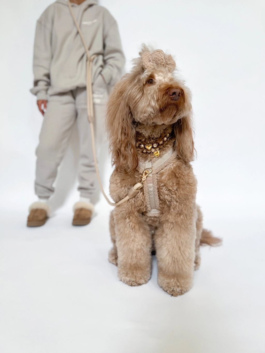 GIGI'S USA Comfort Harness - Toffee Teddy