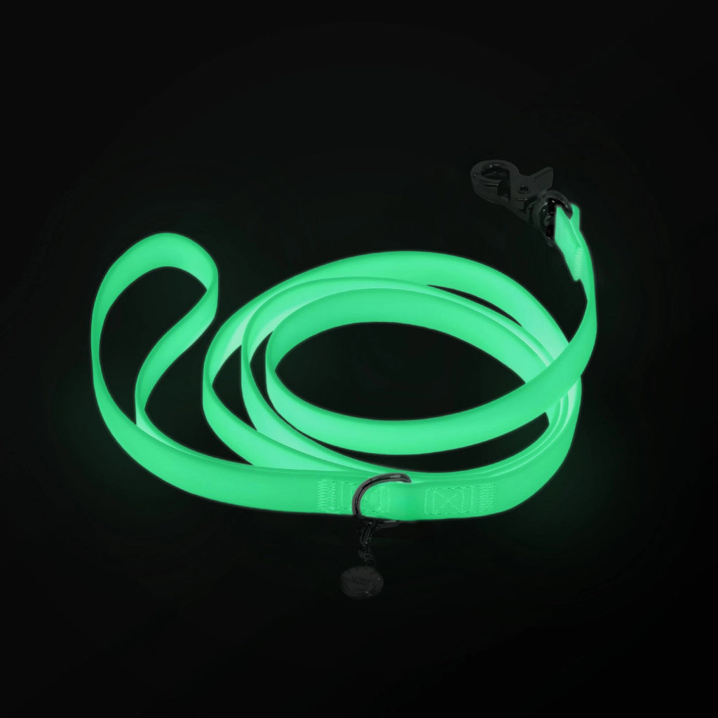 Sunny Tails Glow In The Dark 5 ft Leash