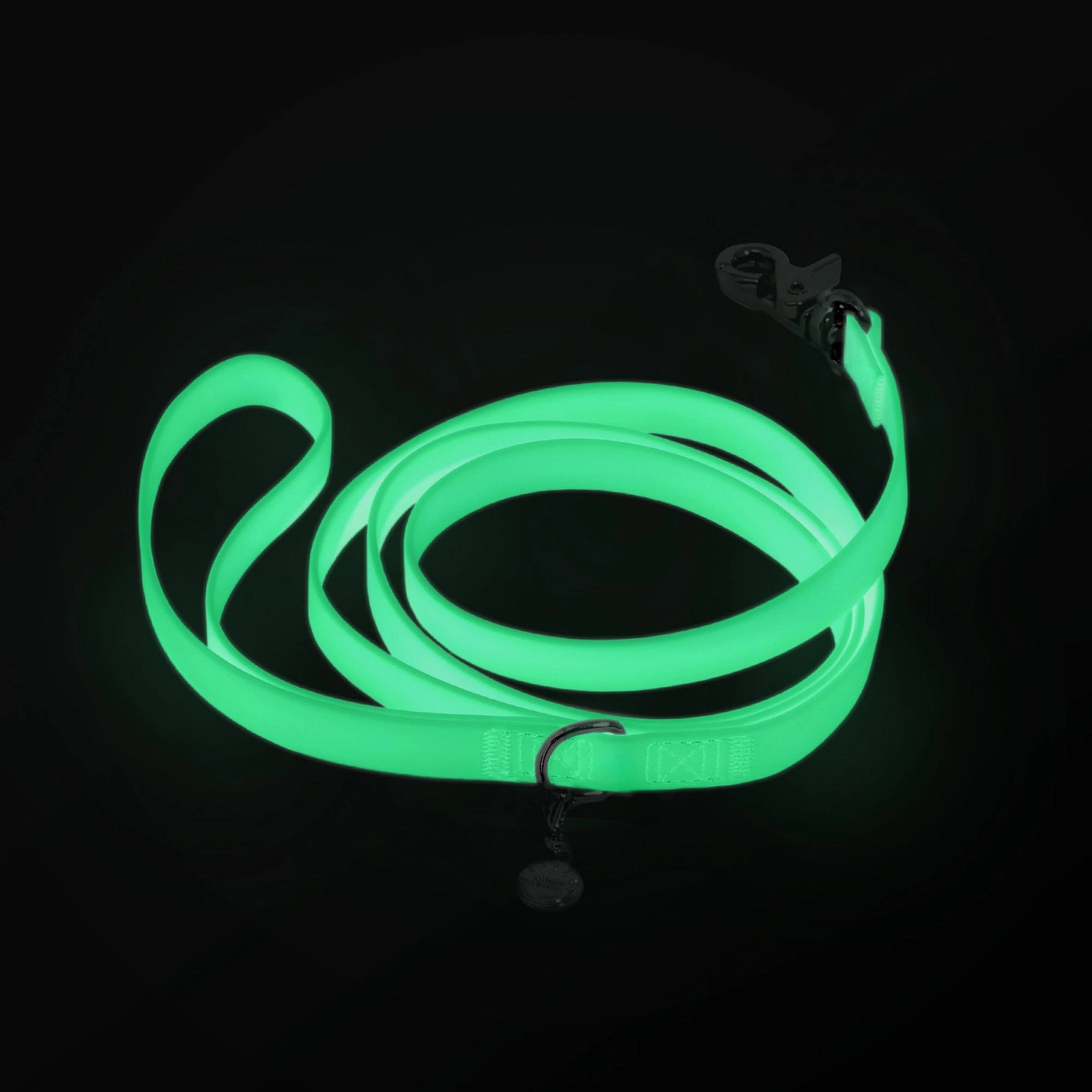 Sunny Tails Glow In The Dark 5 ft Leash