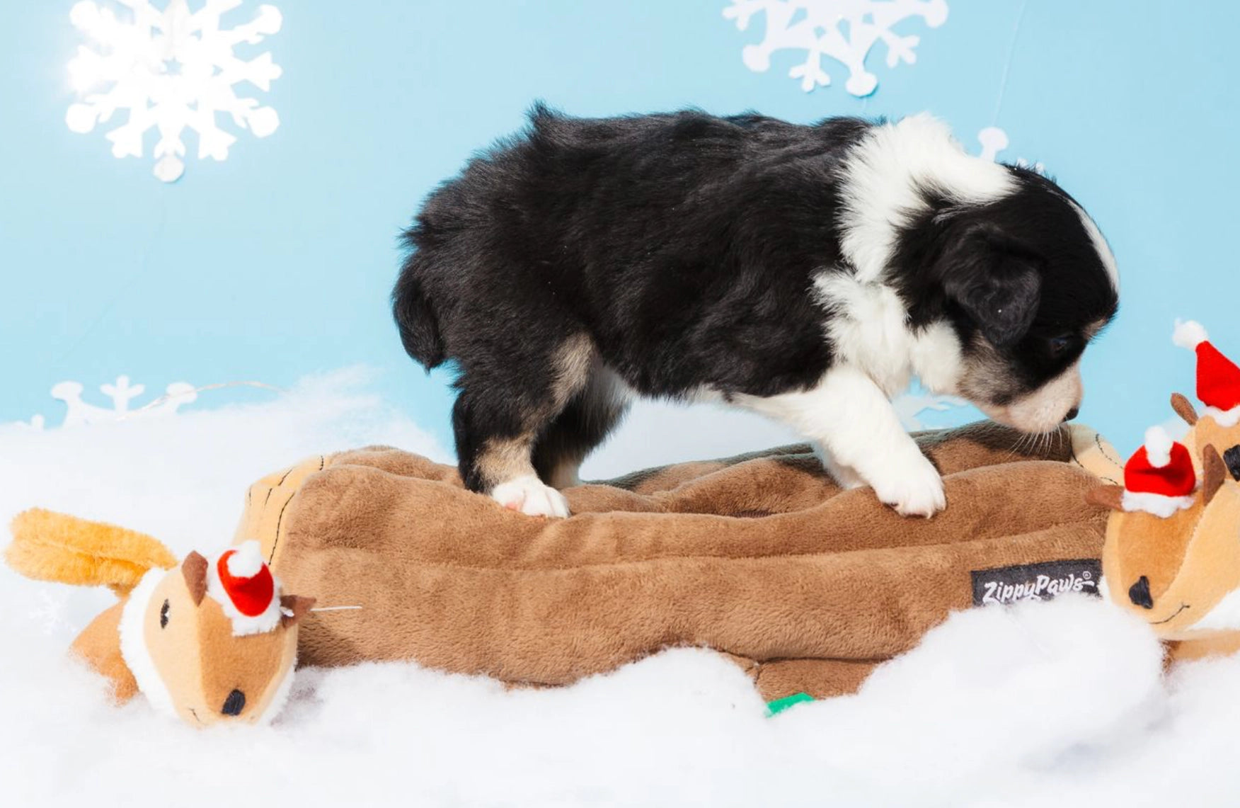Holiday Zippy Burrow - Yule Log - Christmas Dog Toy