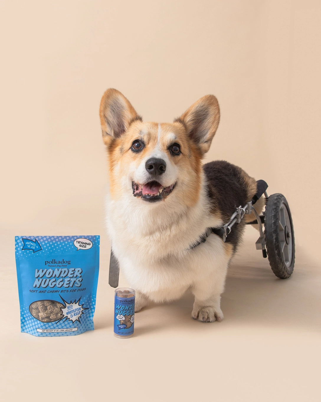 Polka Dog Mini Tube Wonder Nuggets, Whitefish & Kelp Dog Training Treats