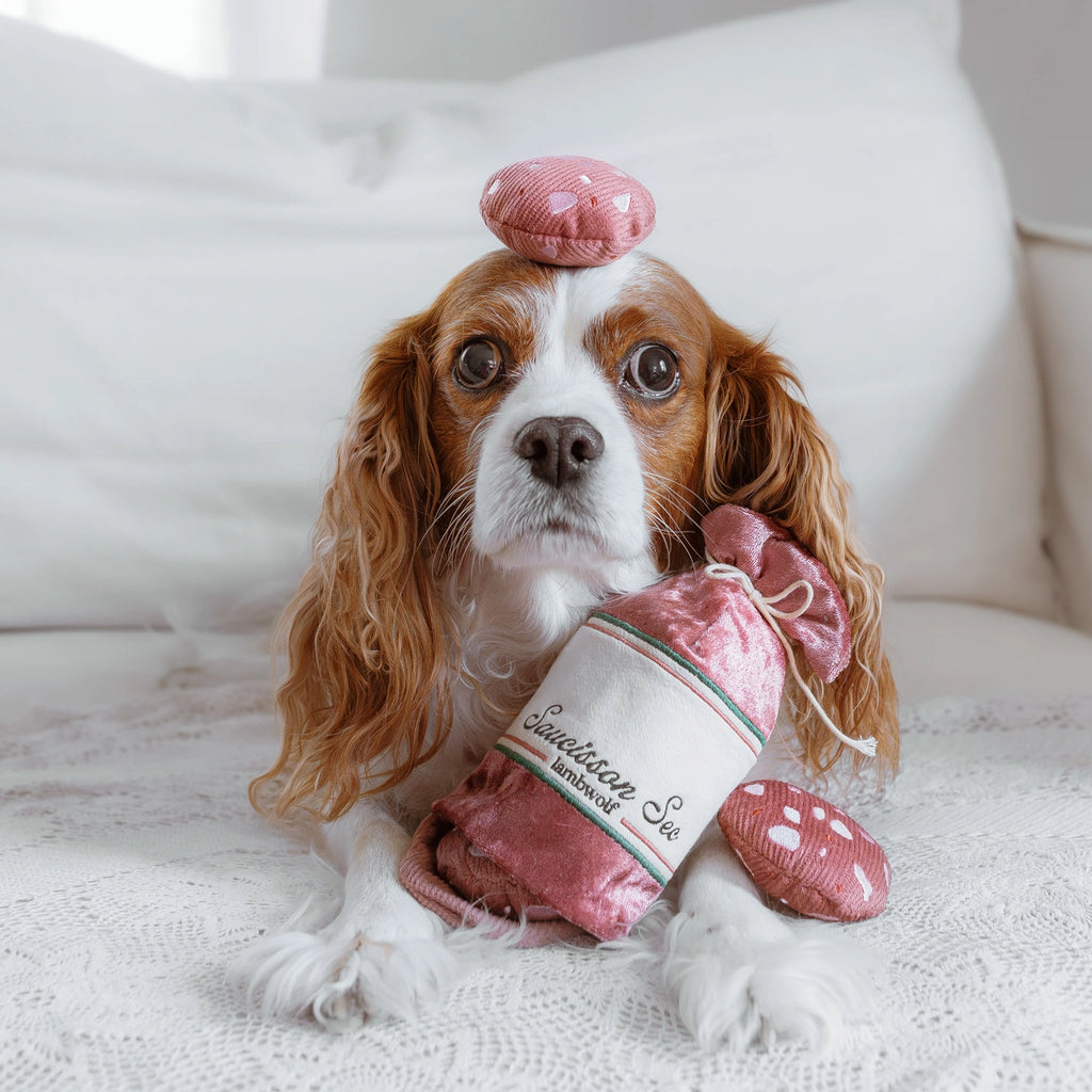 Lambwolf Collective Saucisson Sec Enrichment Dog Toy
