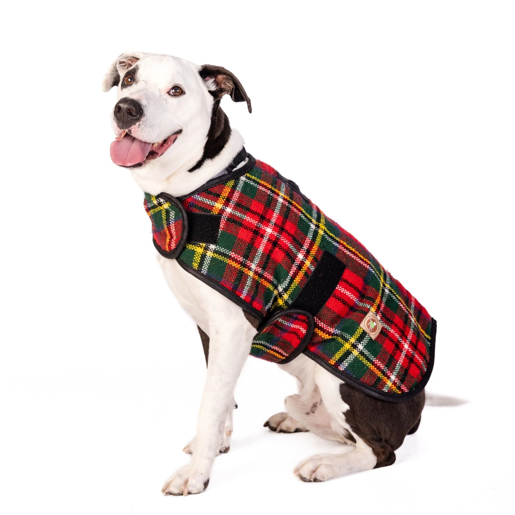 Chilly Dog Scotty Plaid Dog Blanket Coat