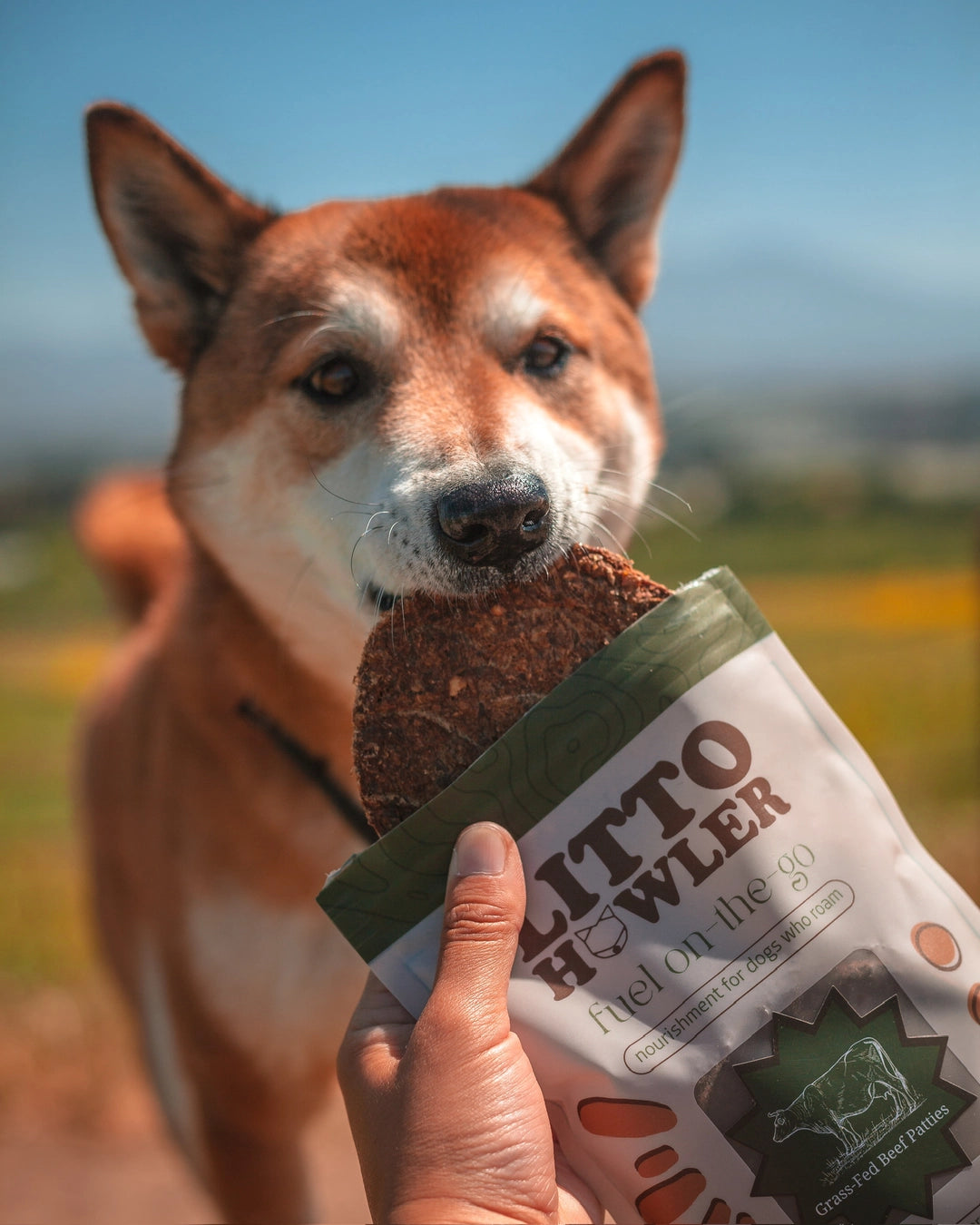 Litto Howler Grass Fed Beef Patties