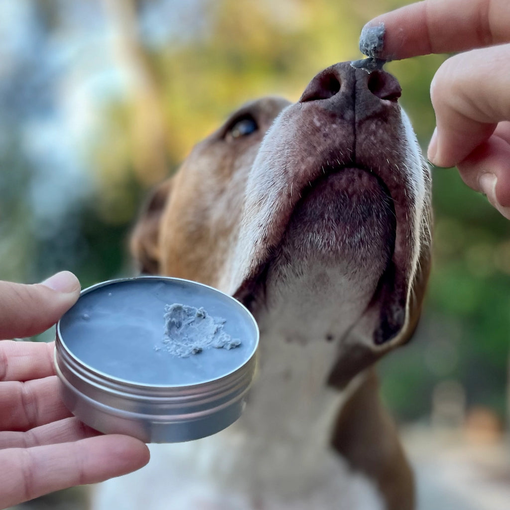 Cordoba Farms Skin Therapy Balm