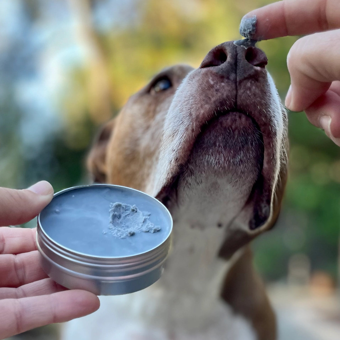Cordoba Farms Skin Therapy Balm