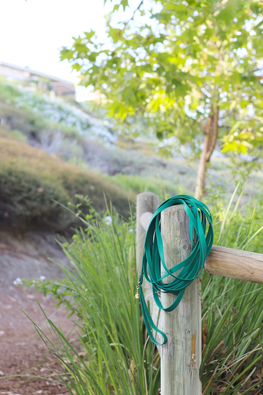 Sunny Tails Waterproof Cloud 30 ft Dog Leash