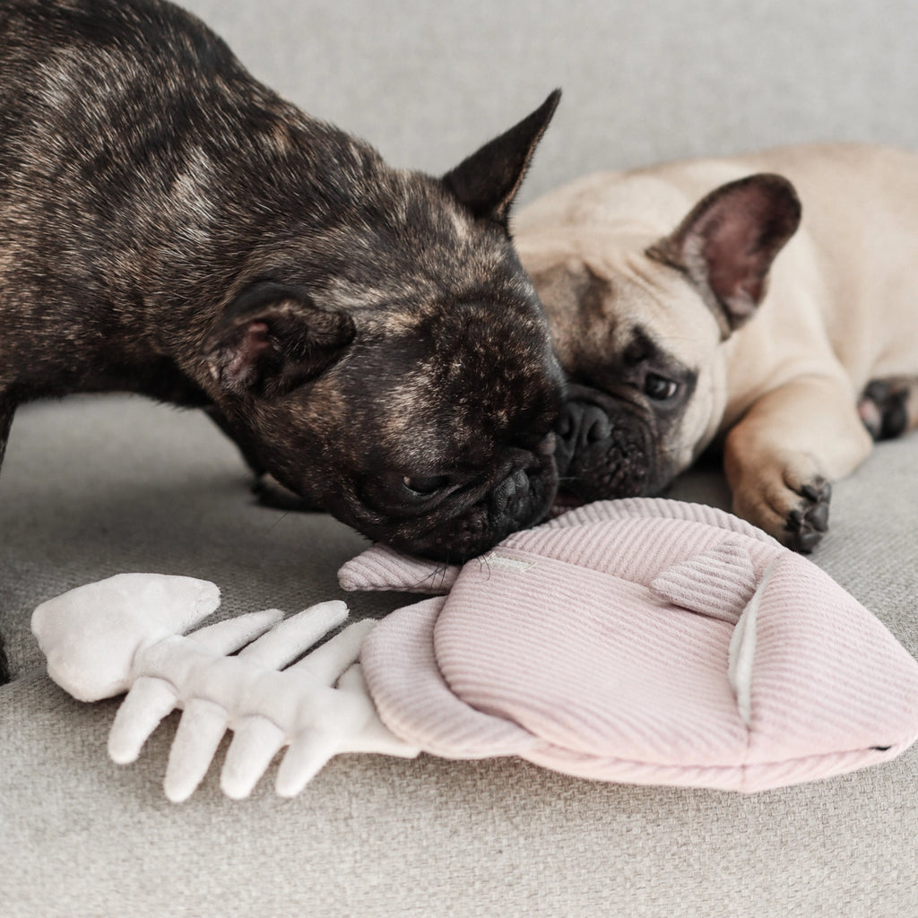Lambwolf Collective Angel Fish Enrichment Dog Toy