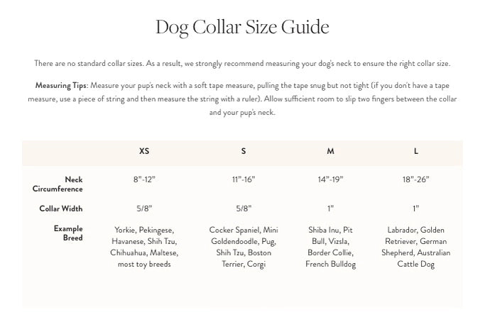 The Foggy Dog Velvet Collar