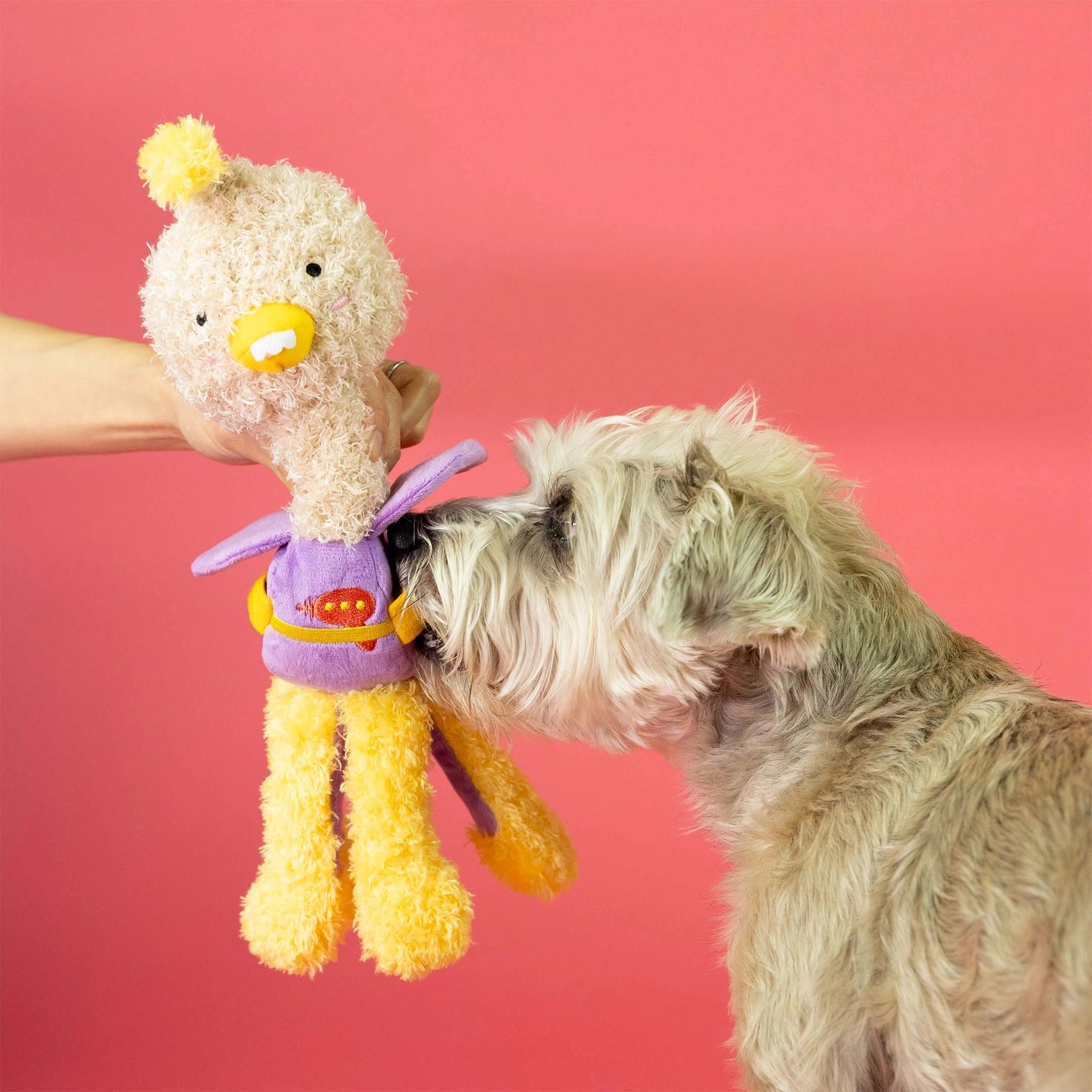 The Furry Folks Ostrikraken Nosework Toy