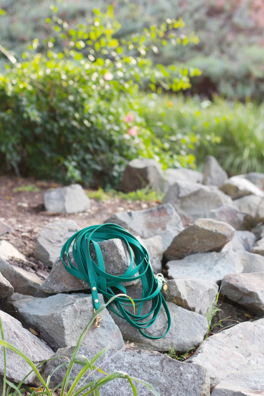 Sunny Tails Waterproof Cloud 30 ft Dog Leash