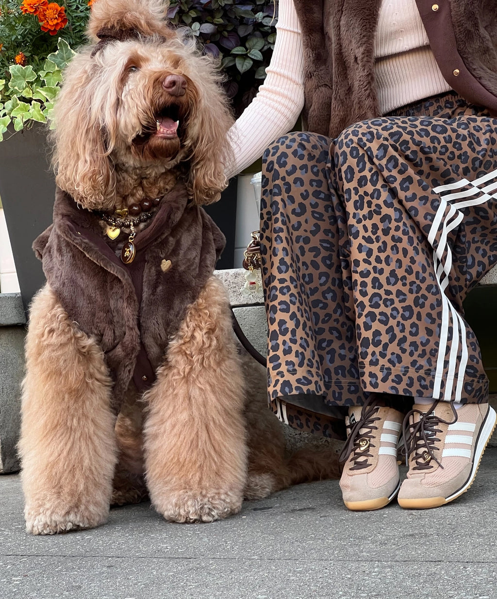 GIGI'S USA Furlowe Dog Vest - Mocha
