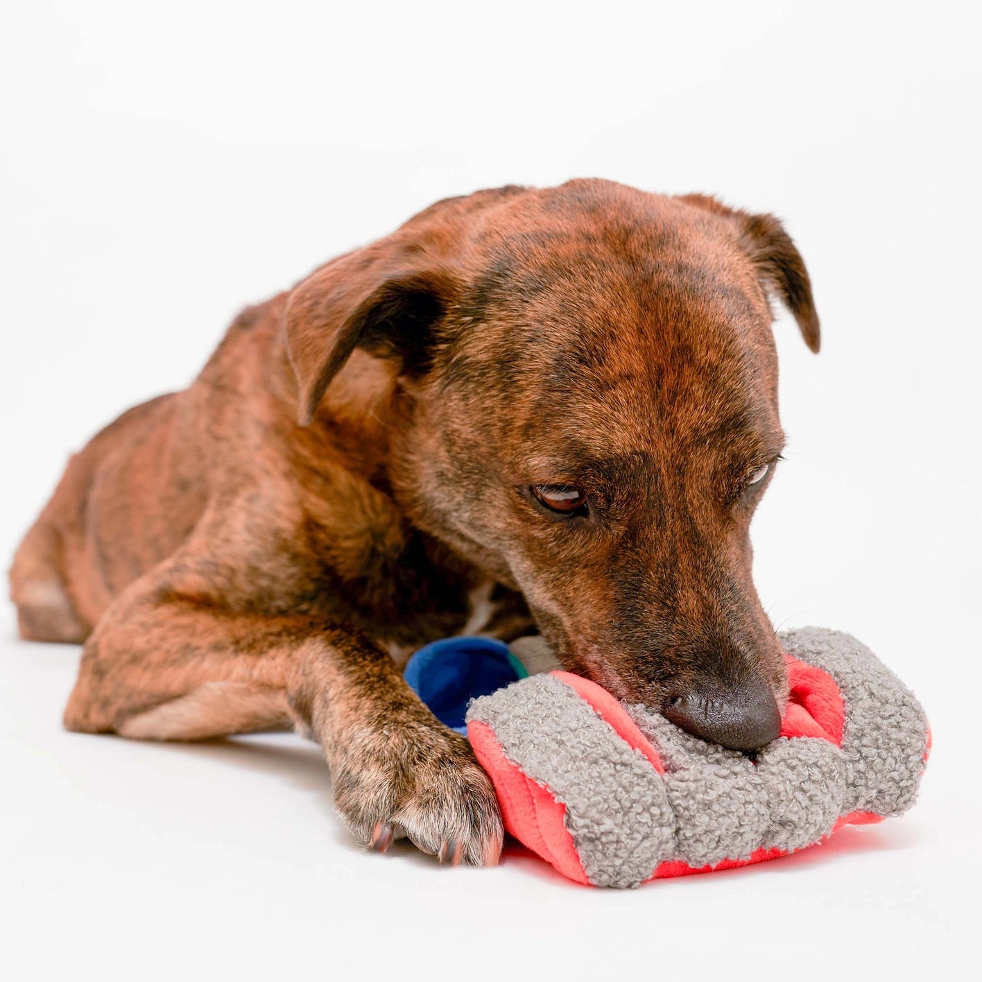 The Furry Folks Tinned Salmon Nosework Toy