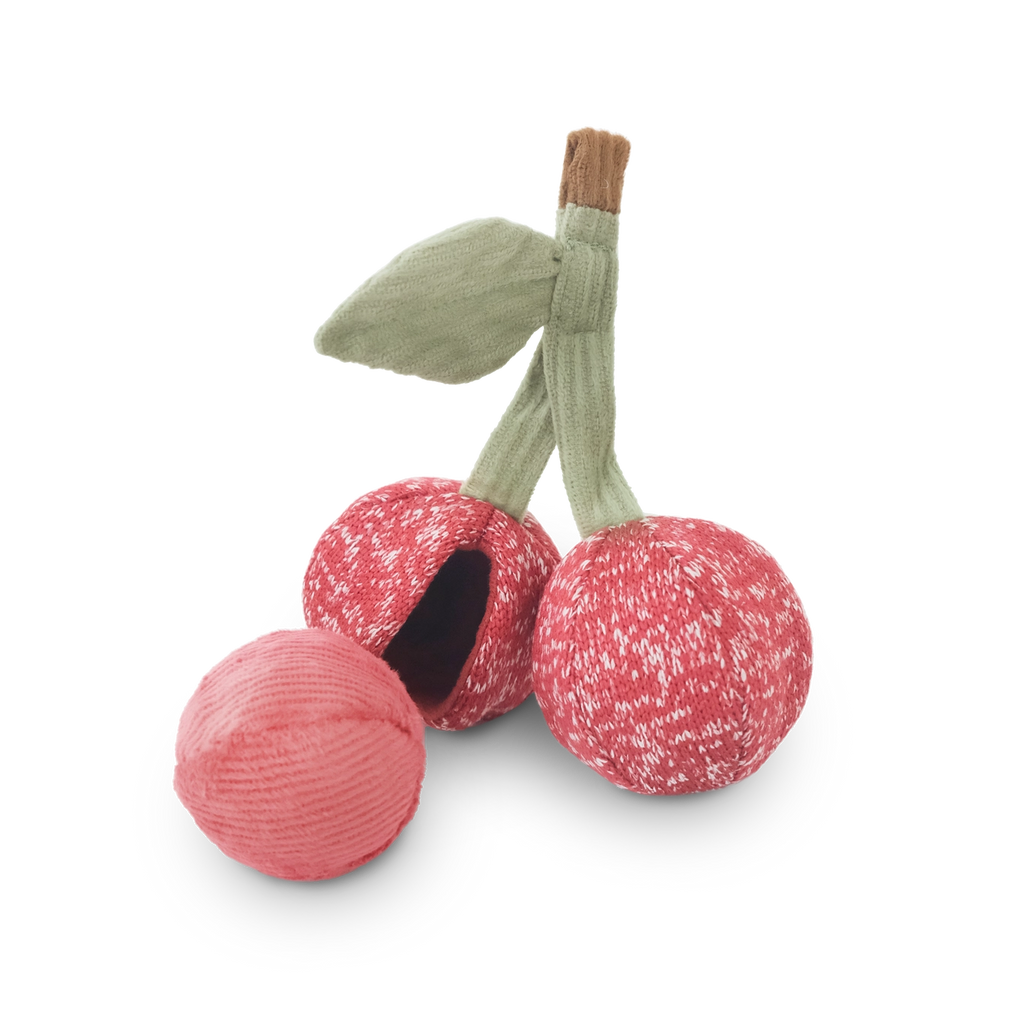 Lambwolf Collective Cherry Pop Enrichment Dog Toy