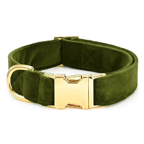 The Foggy Dog Velvet Collar