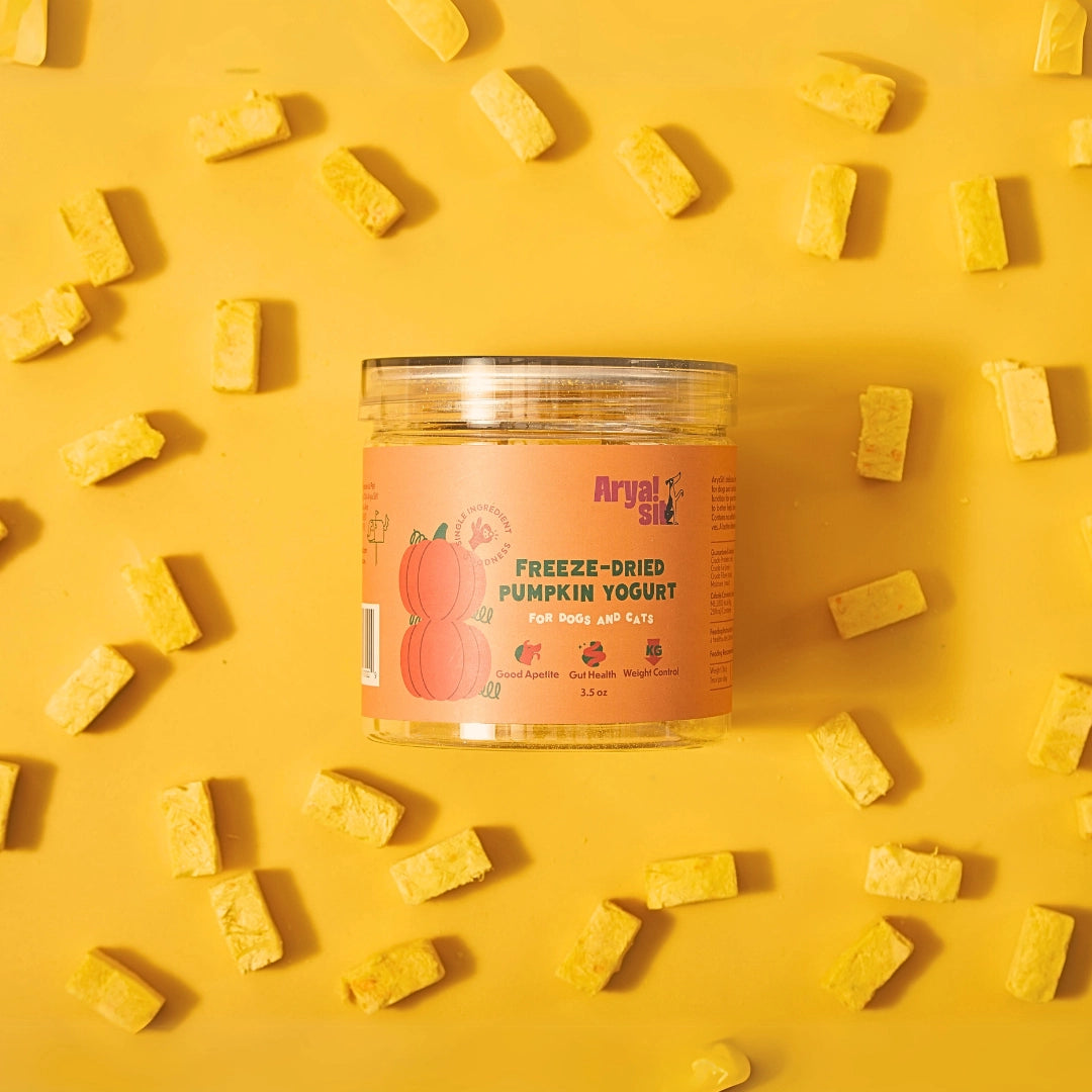 Arya Sit! Freeze Dried Pumpkin Yogurt