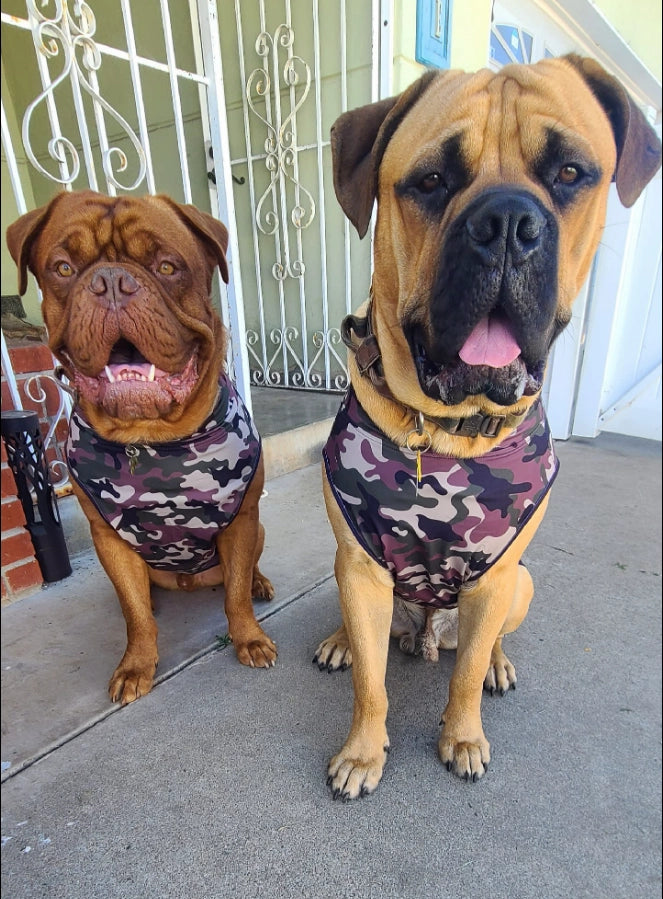 Pittie Clothing Co. Classic Camo Muscle Tee