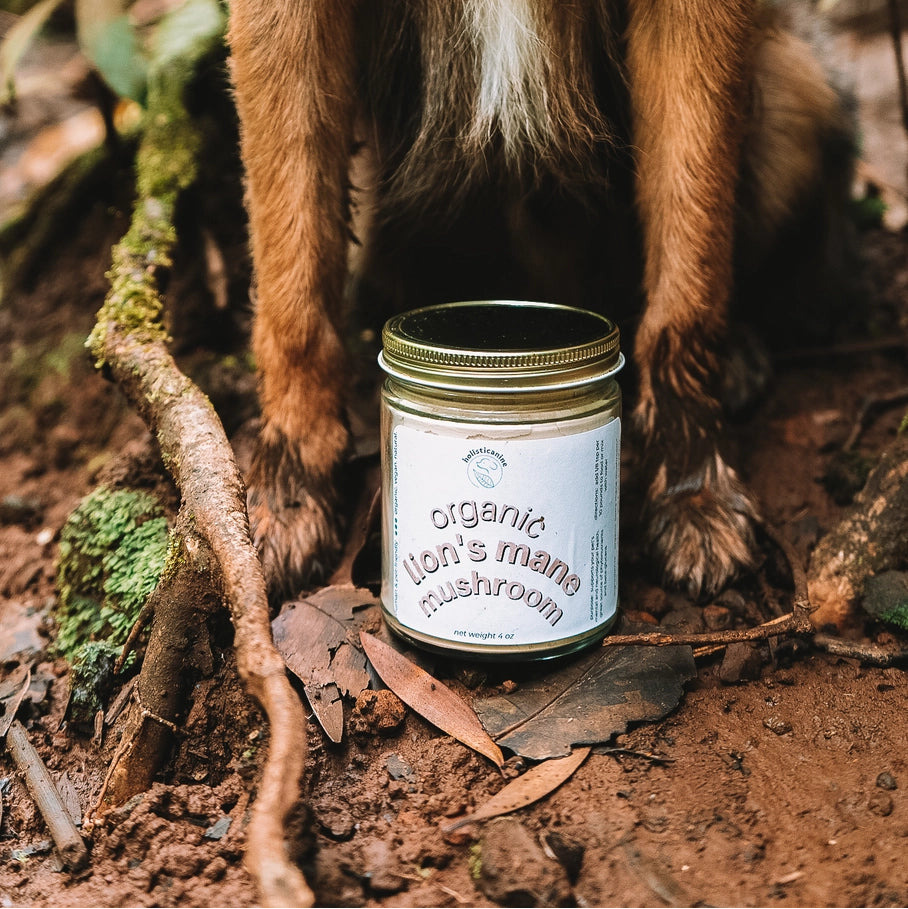 Holisticanine Organic Lion's Mane Mushroom Supplement