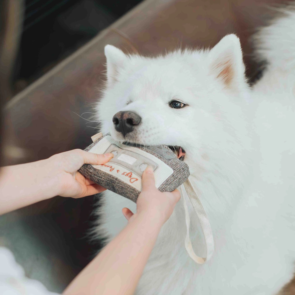 Lambwolf Collective - Cassette Enrichment Dog Toy