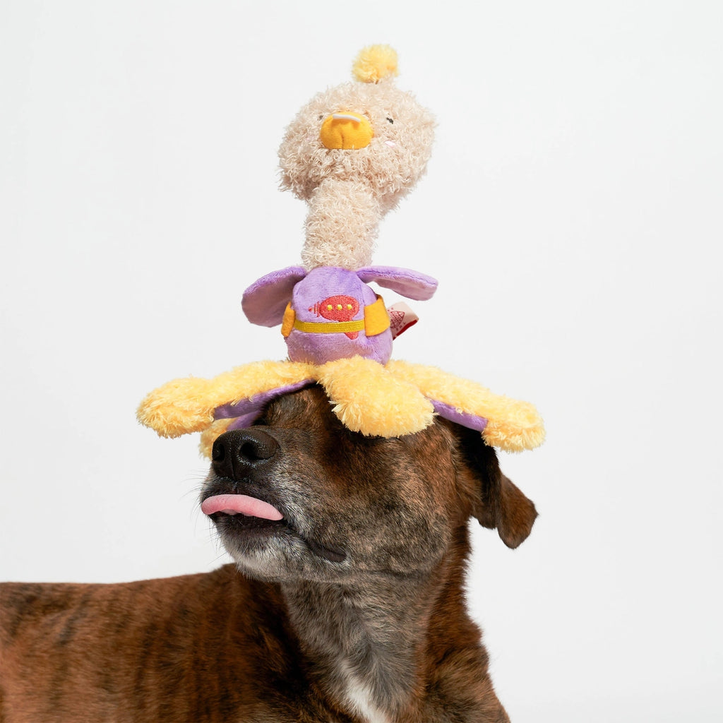 The Furry Folks Ostrikraken Nosework Toy