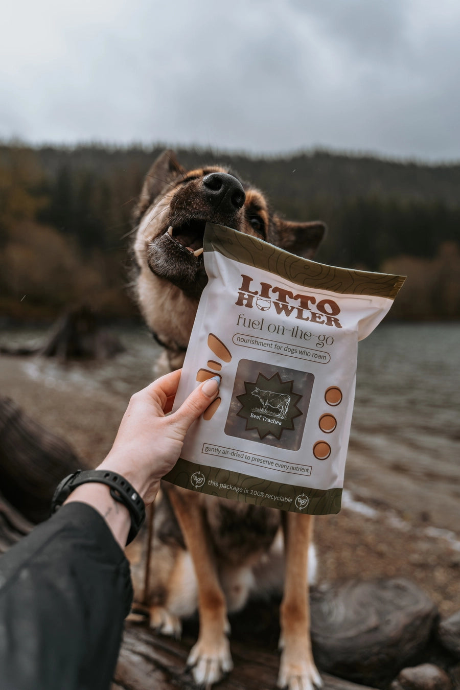 Litto Howler Beef Trachea | 4 Pack | 6 Inches