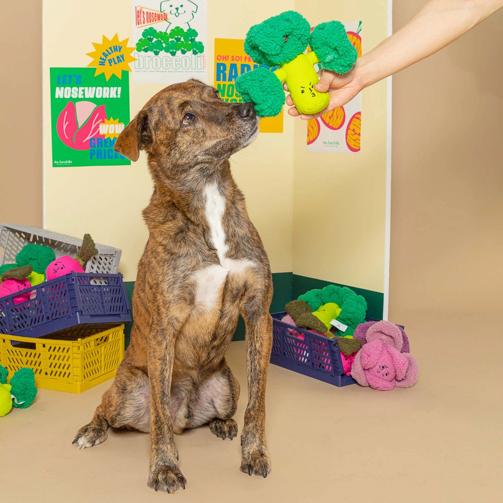 The Furry Folks Broccoli Nose Work Toy