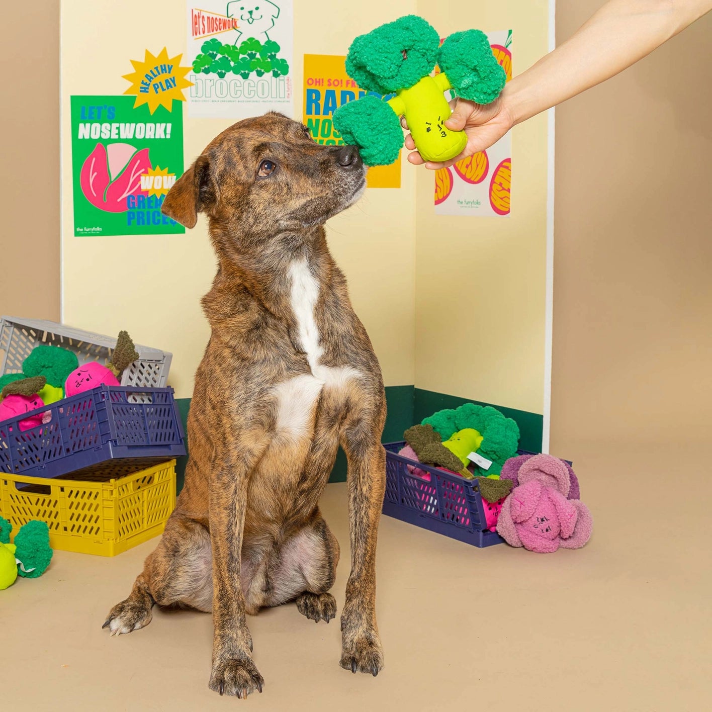 The Furry Folks Broccoli Nose Work Toy