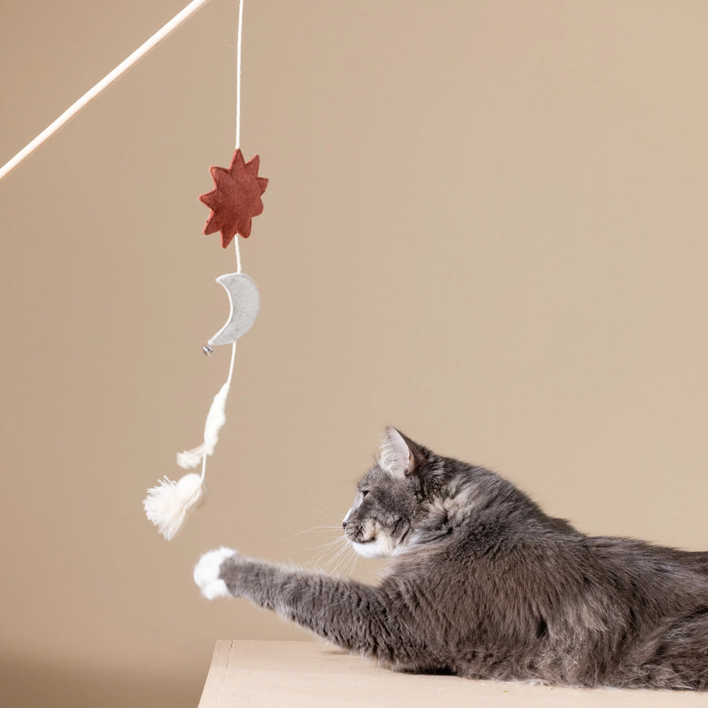 Petshop by Fringe Studio Happy Skies Multi Sensory Teaser Cat Toy