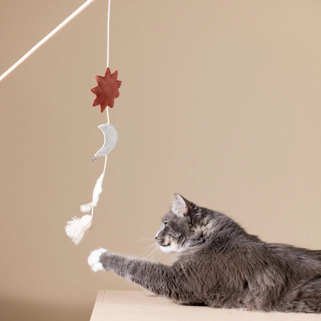 Petshop by Fringe Studio Happy Skies Multi Sensory Teaser Cat Toy