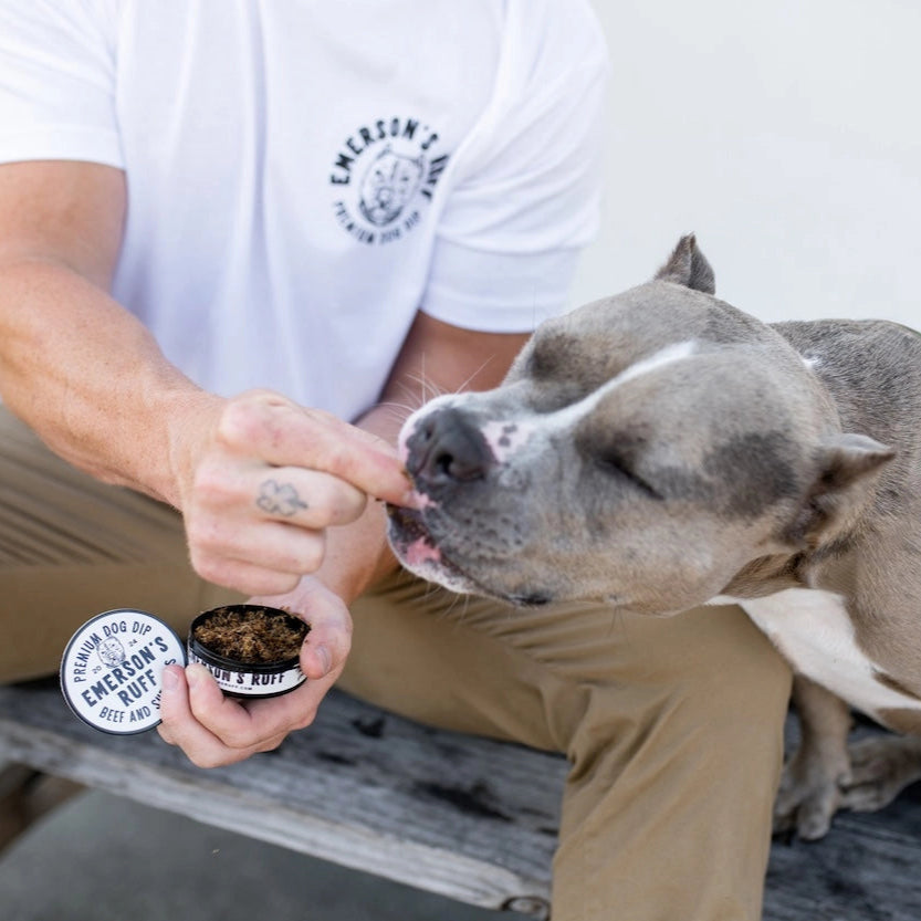 Emerson's Ruff Premium Dog Dip - Beef & Shrooms