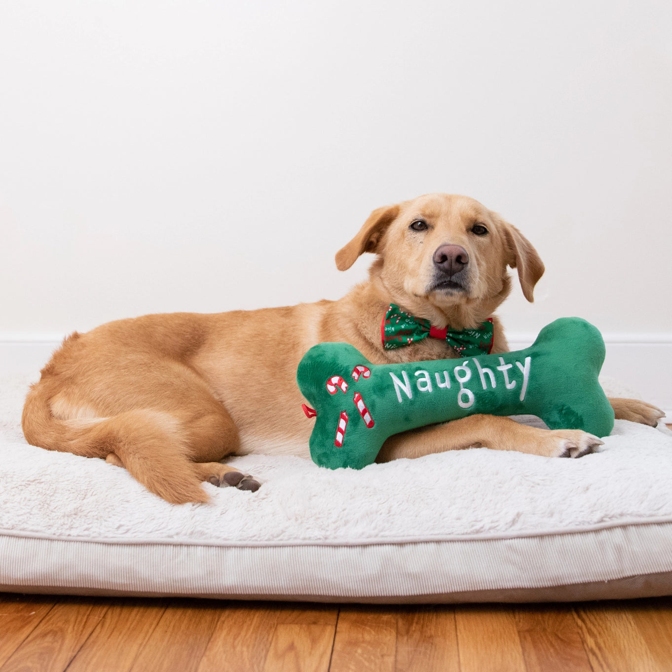 Huxley & Kent Naughty Nice Bone Dog Toy