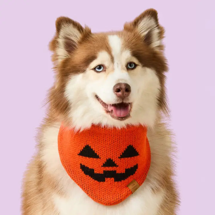 The Foggy Dog Jack-O’-Lantern Knit Dog Bandana