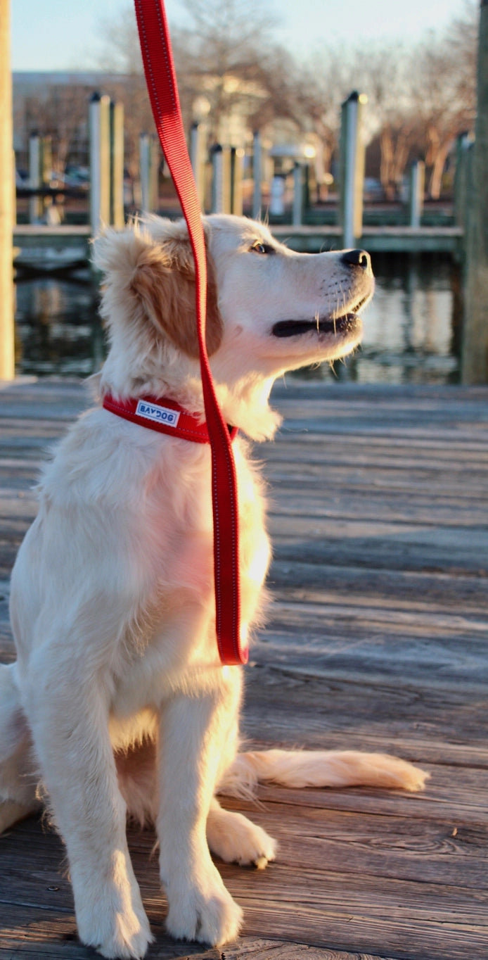 Baydog Hudson 4ft Leash