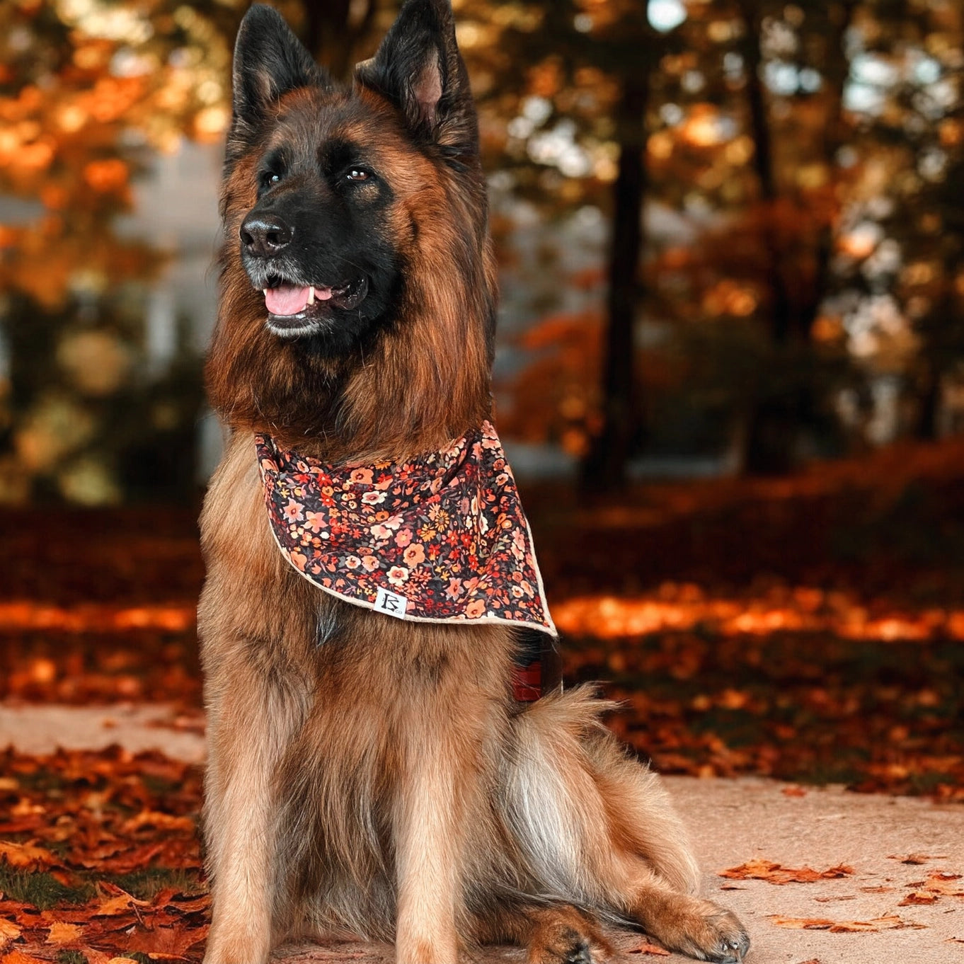 Boneyard Co "Autumn Bouquet" Dog Bandana