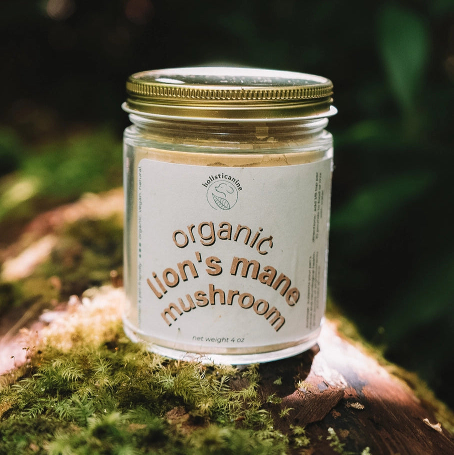Holisticanine Organic Lion's Mane Mushroom Supplement