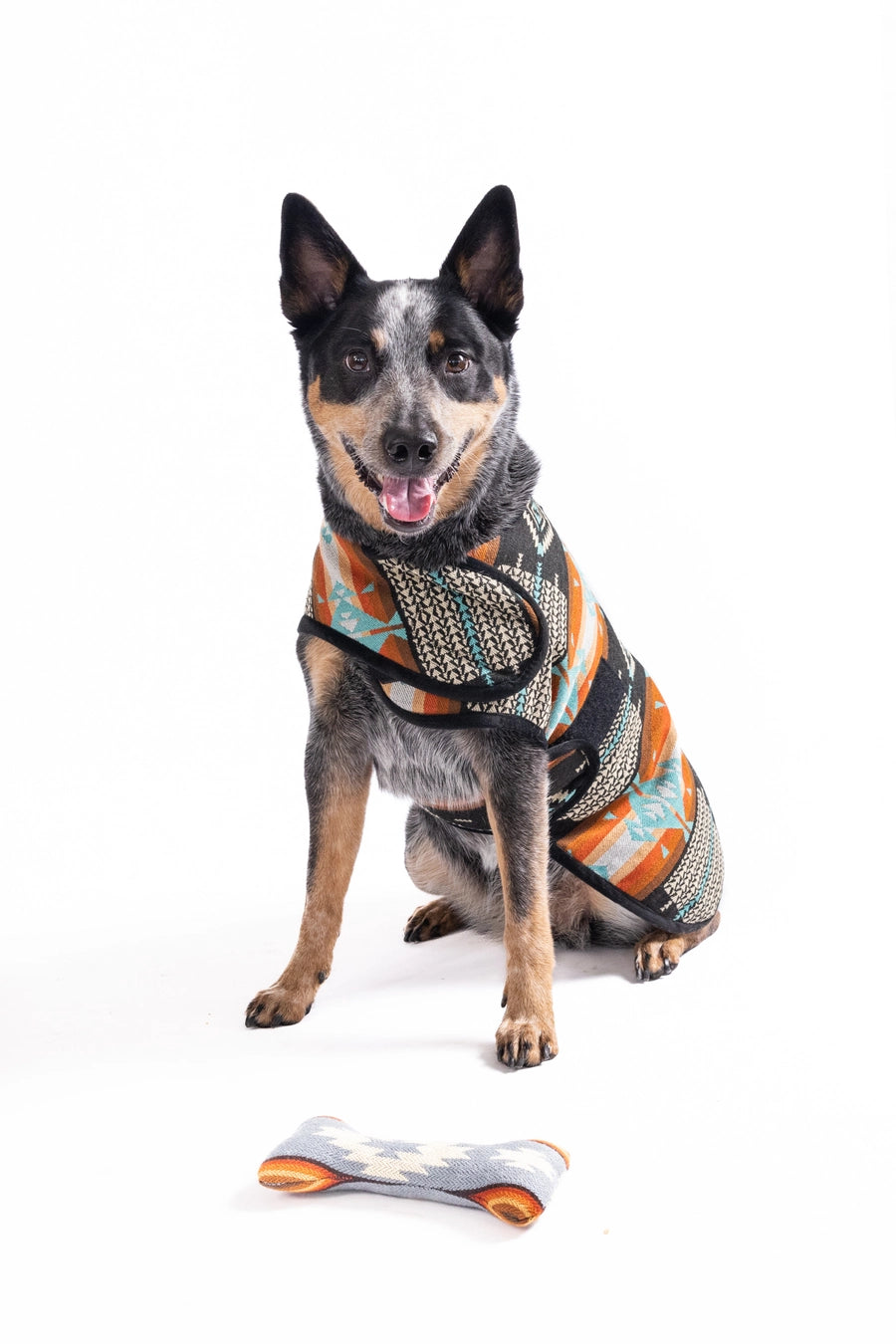 Chilly Dog Blanket Coat