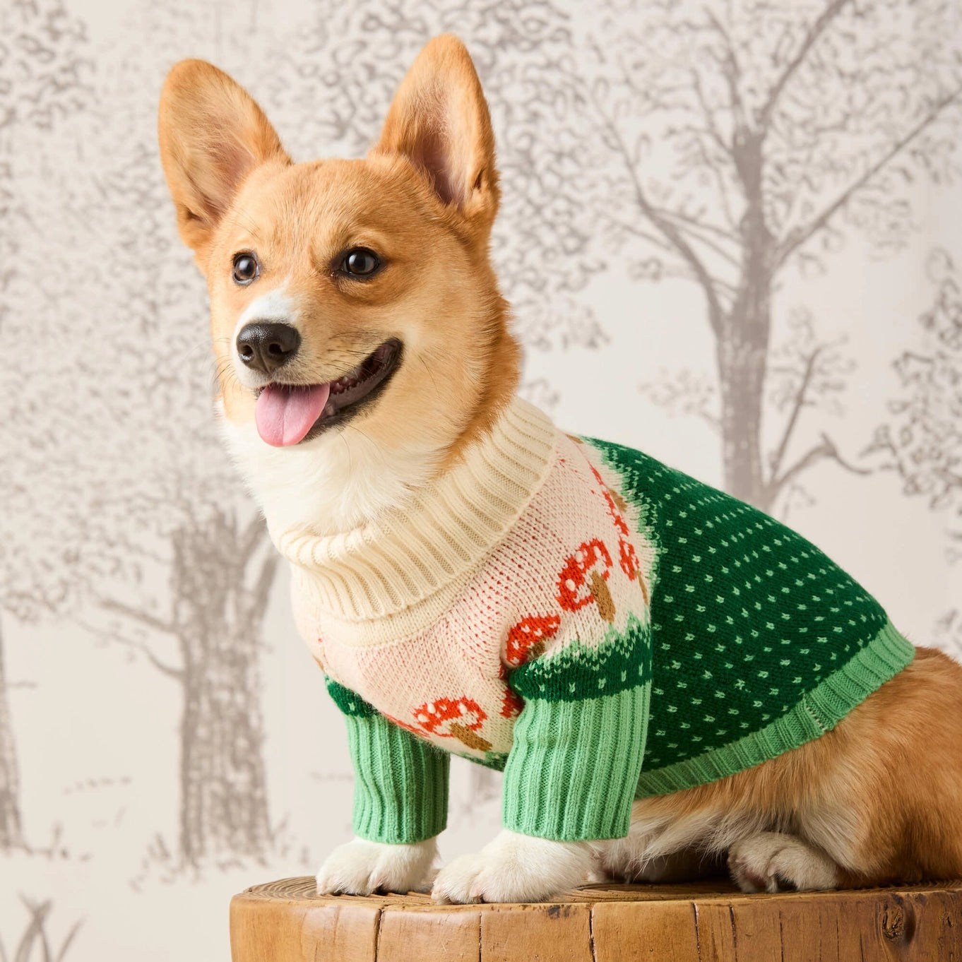 The Foggy Dog Toadstool Dog Sweater