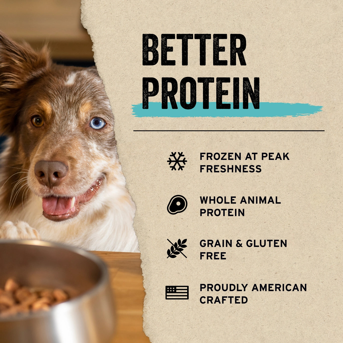 Vital Essentials Freeze Dried Raw Salmon Bites