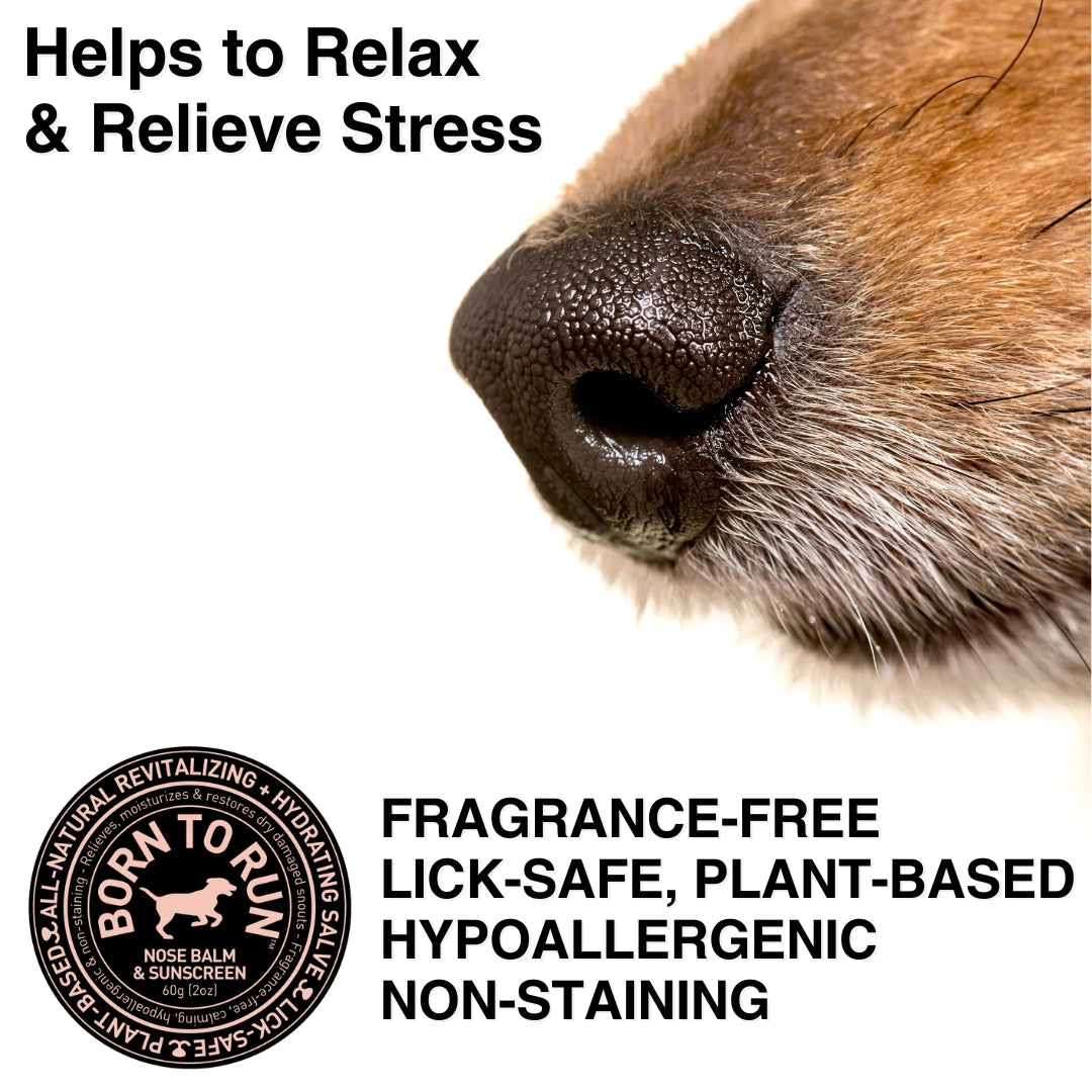 Born To Run Nose Hydrating Recovery Balm + Sunscreen Organic