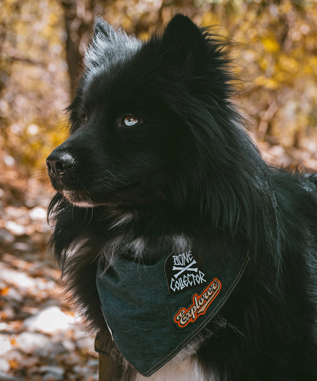 Wolf Republic Denim Bandana