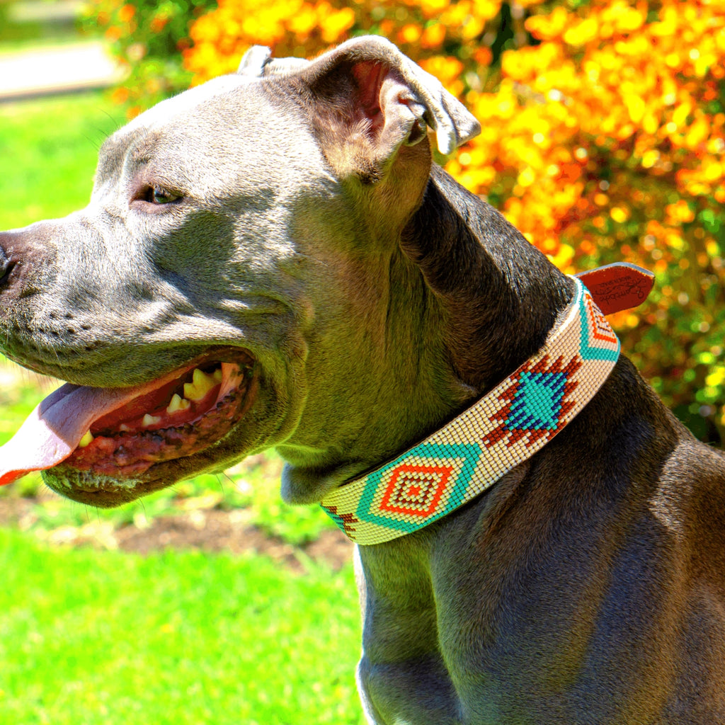 Aztec Sambboho Dog Collar