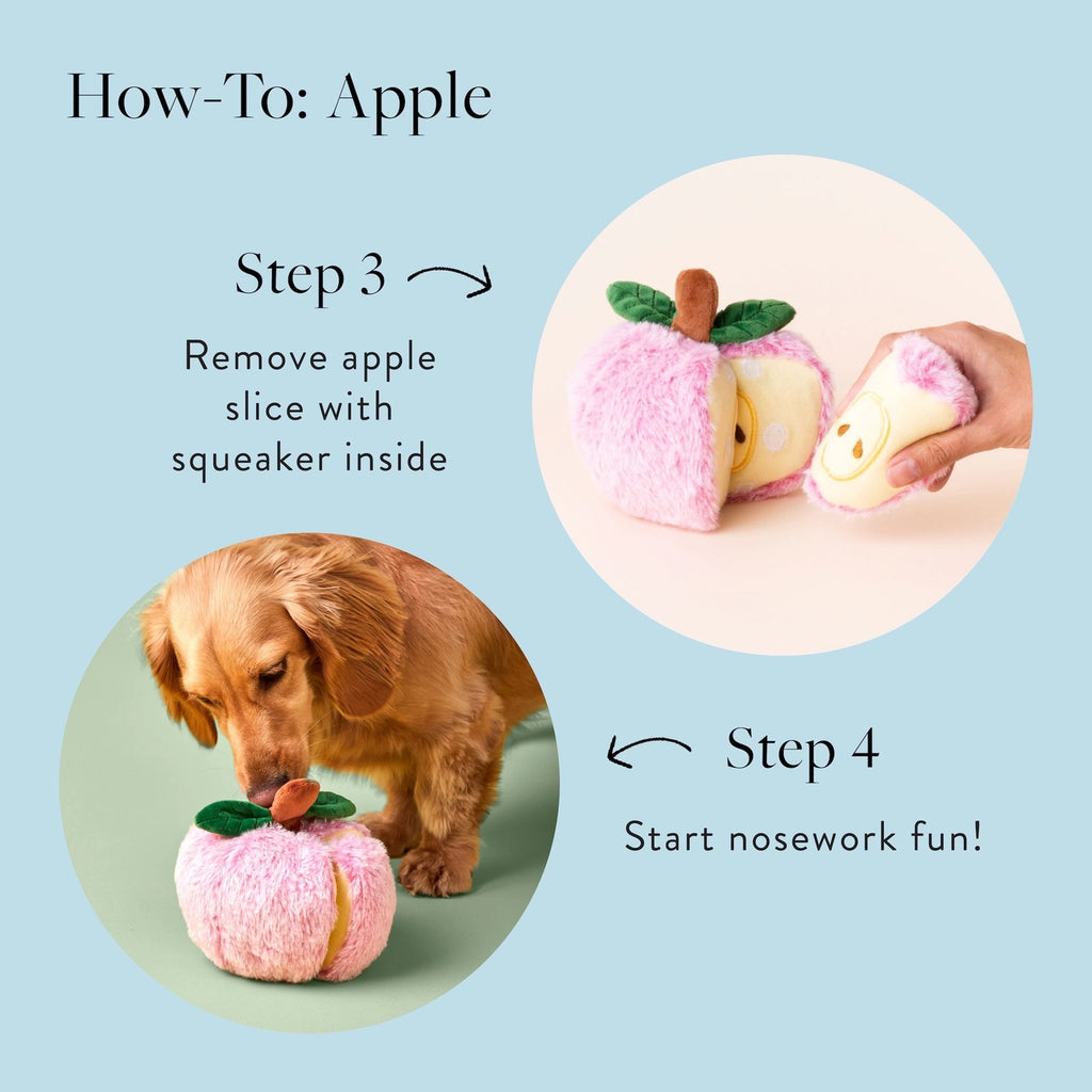 The Foggy Dog Apple Interactive Snuffle Dog Toy