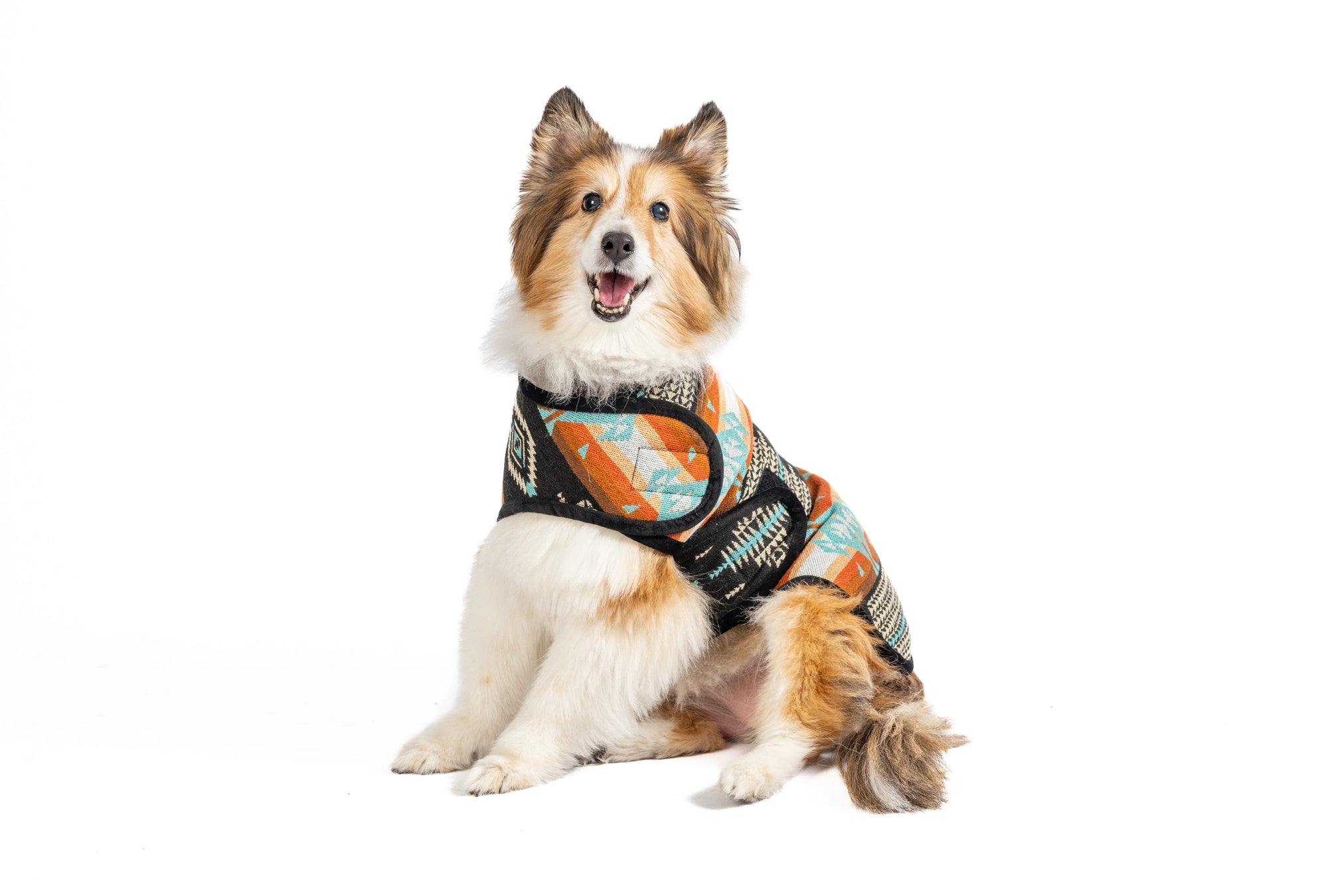 Chilly Dog Blanket Coat
