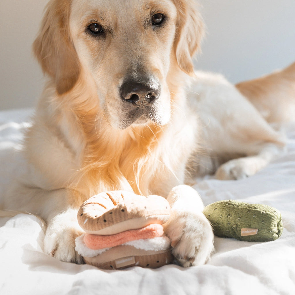Lambwolf Collective Bagel + Pickle Enrichment Toy