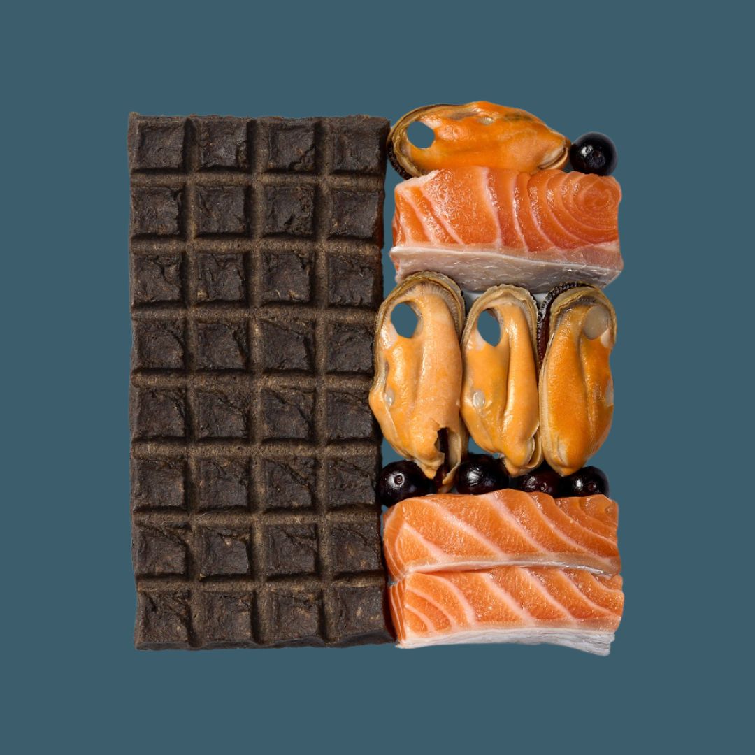 Ryōken Instinct Seafood Treat & Snack Bar For Active Dogs - Energy & Recovery